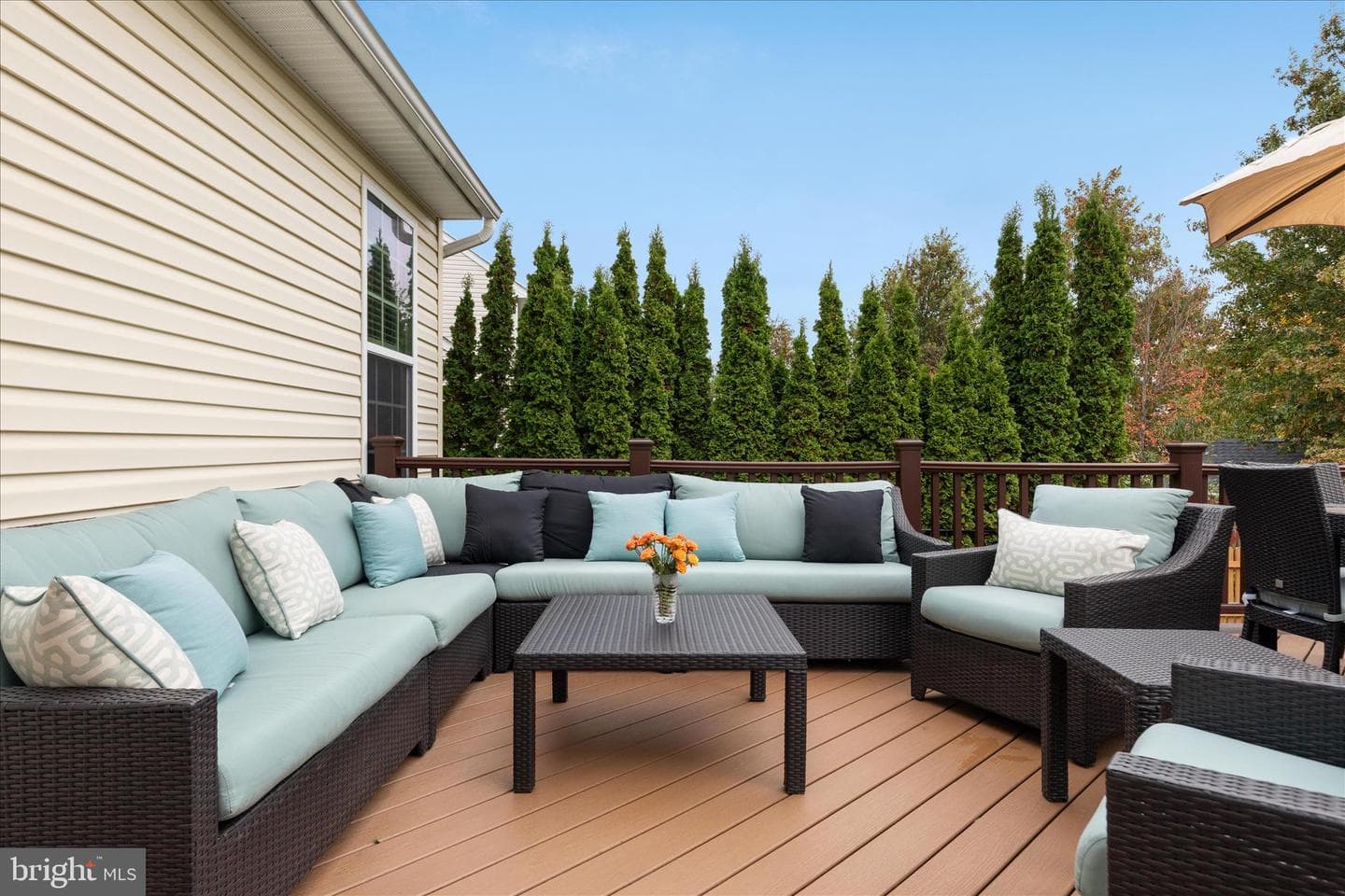 41591 Bostonian Place photo 44