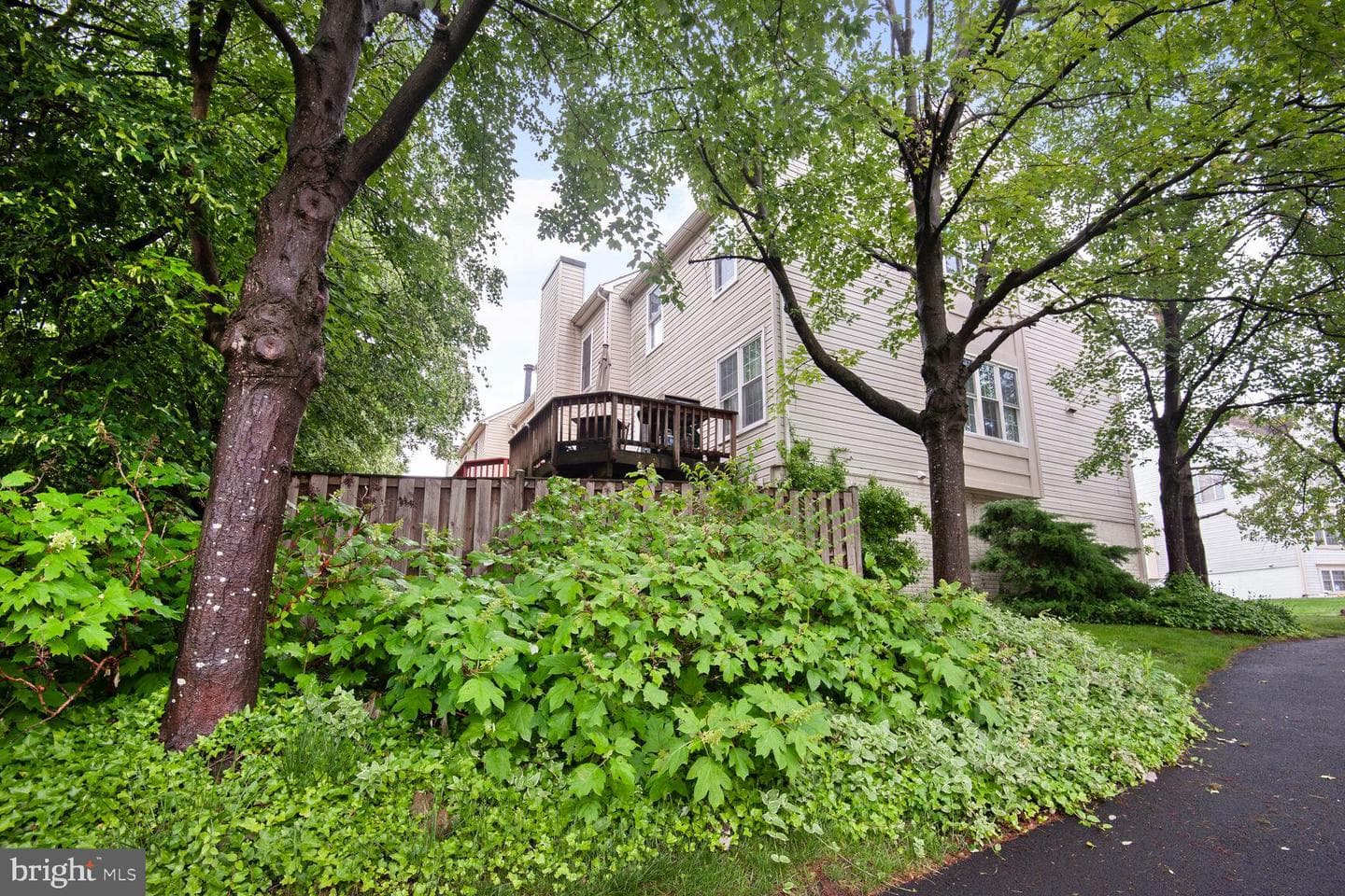 45544 Whitcomb Square photo 29