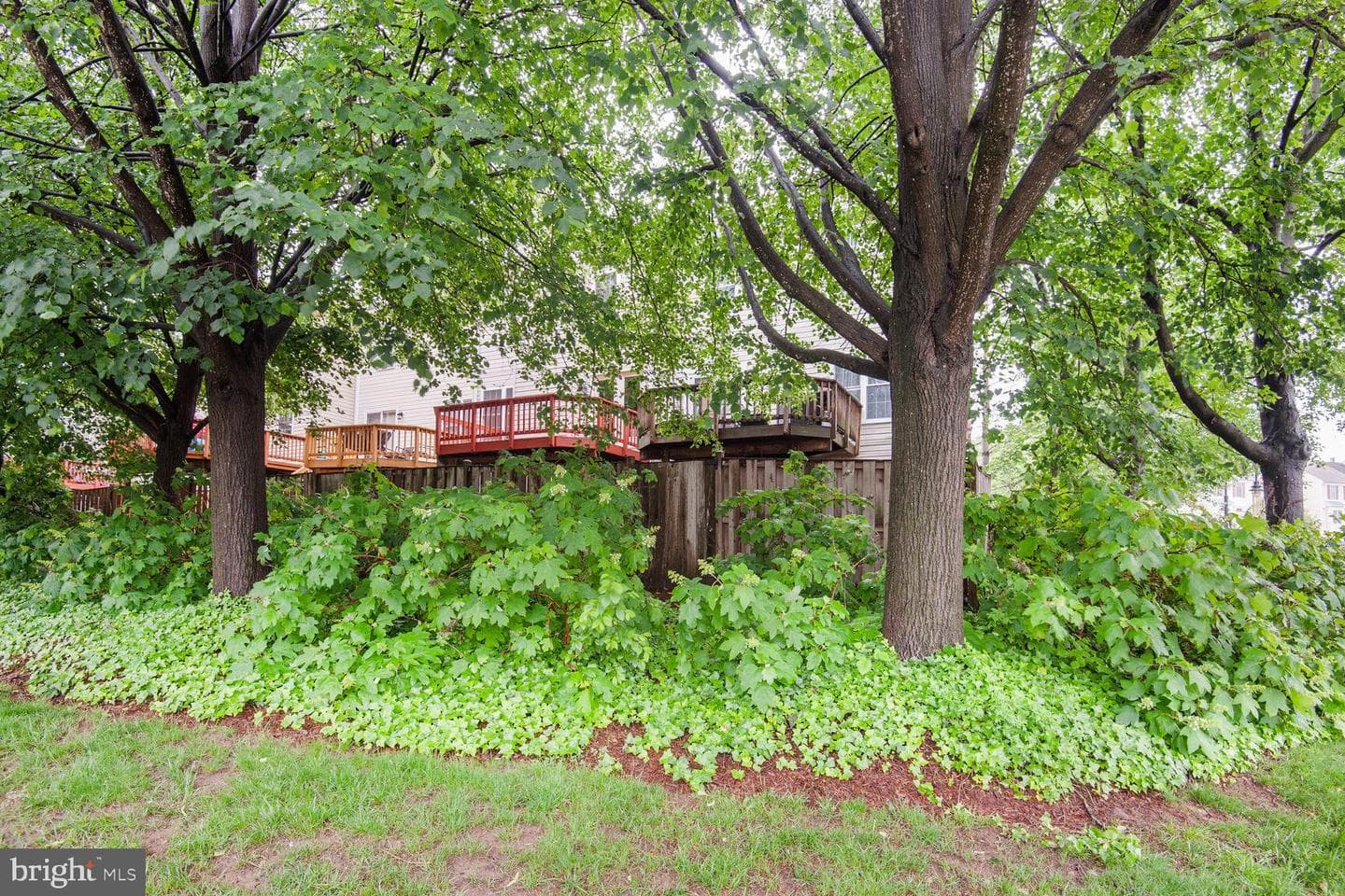 45544 Whitcomb Square photo 30
