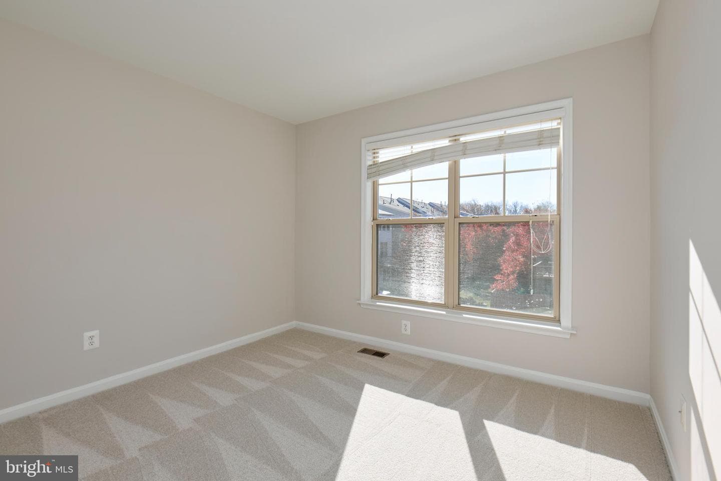 42612 Galbraith Square photo 29