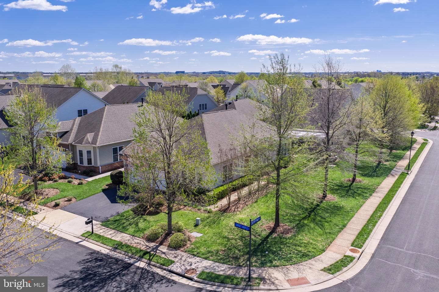 44345 Sunset Maple Drive photo 3
