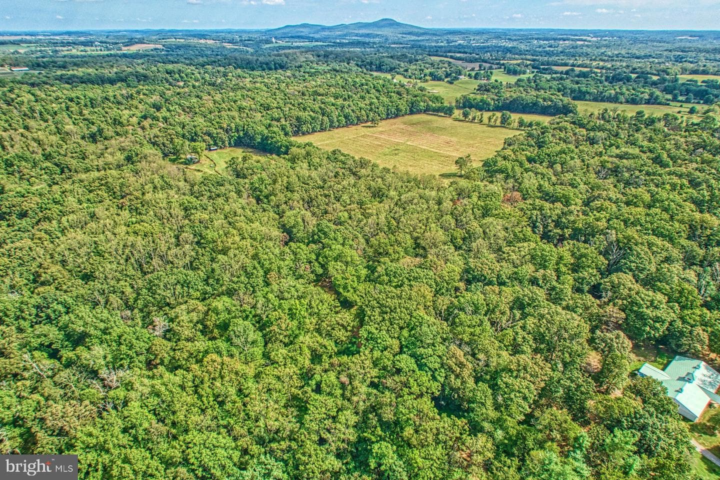 43470 Evans Pond Road photo 97