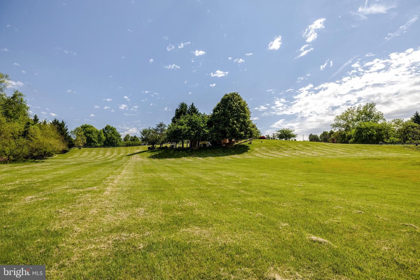 17485 White Gate Place photo 18