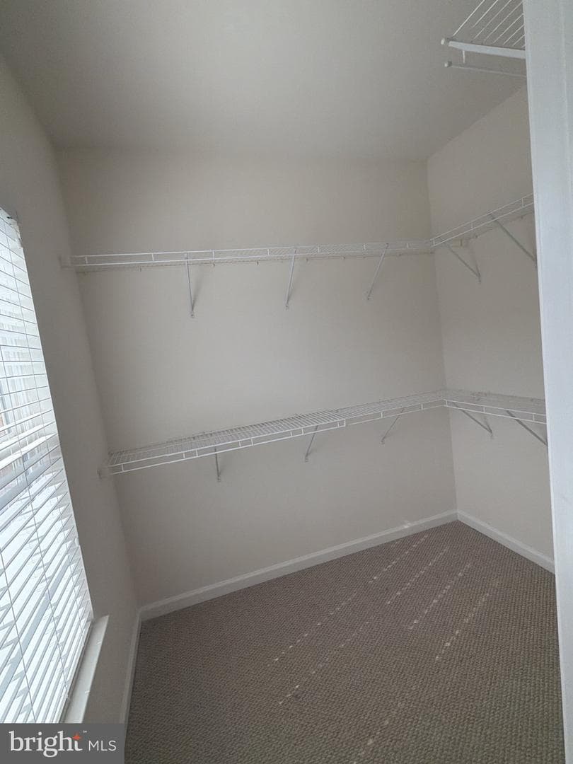 21643 Romans Drive photo 13