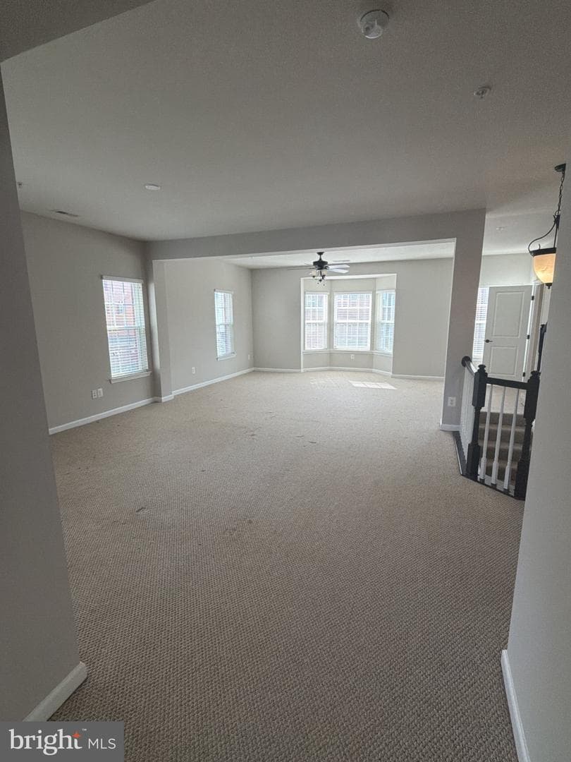 21643 Romans Drive photo 18