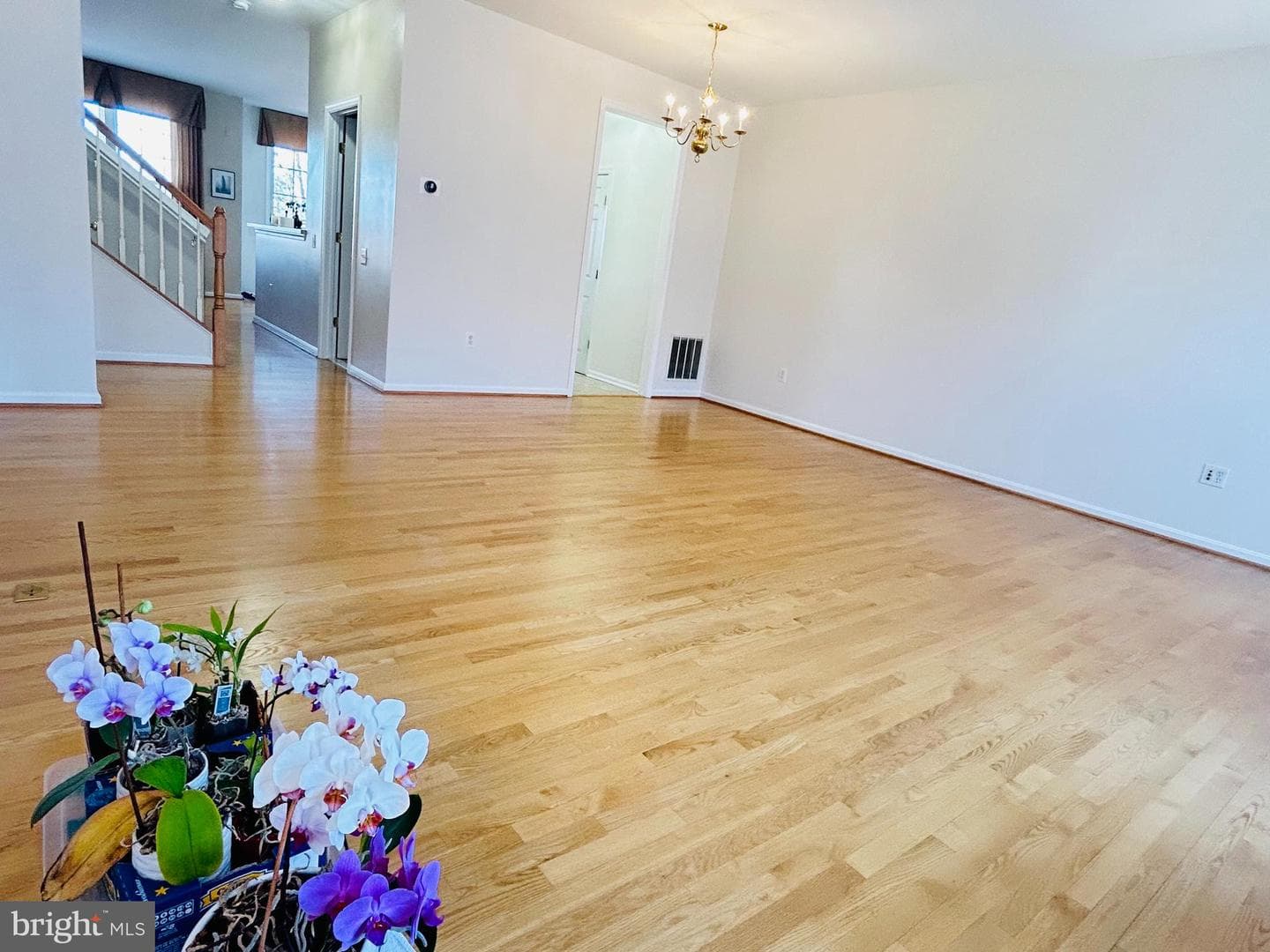 45798 Mountain Pine Square photo 7