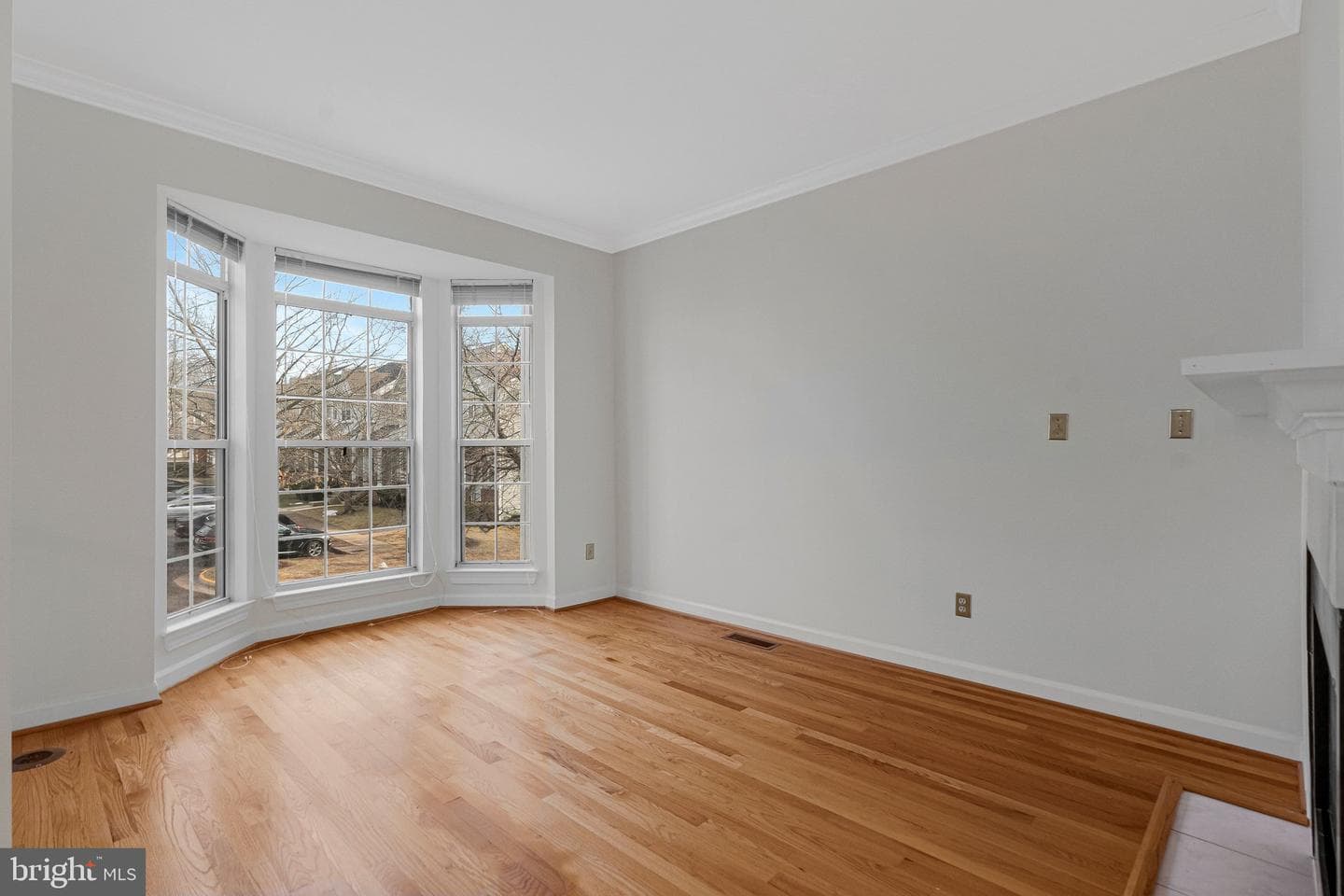 20572 Willoughby Square photo 5