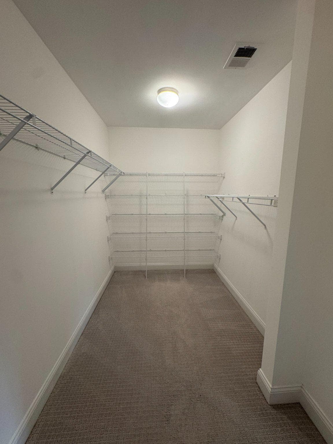 25577 Soft Mist Terrace photo 19