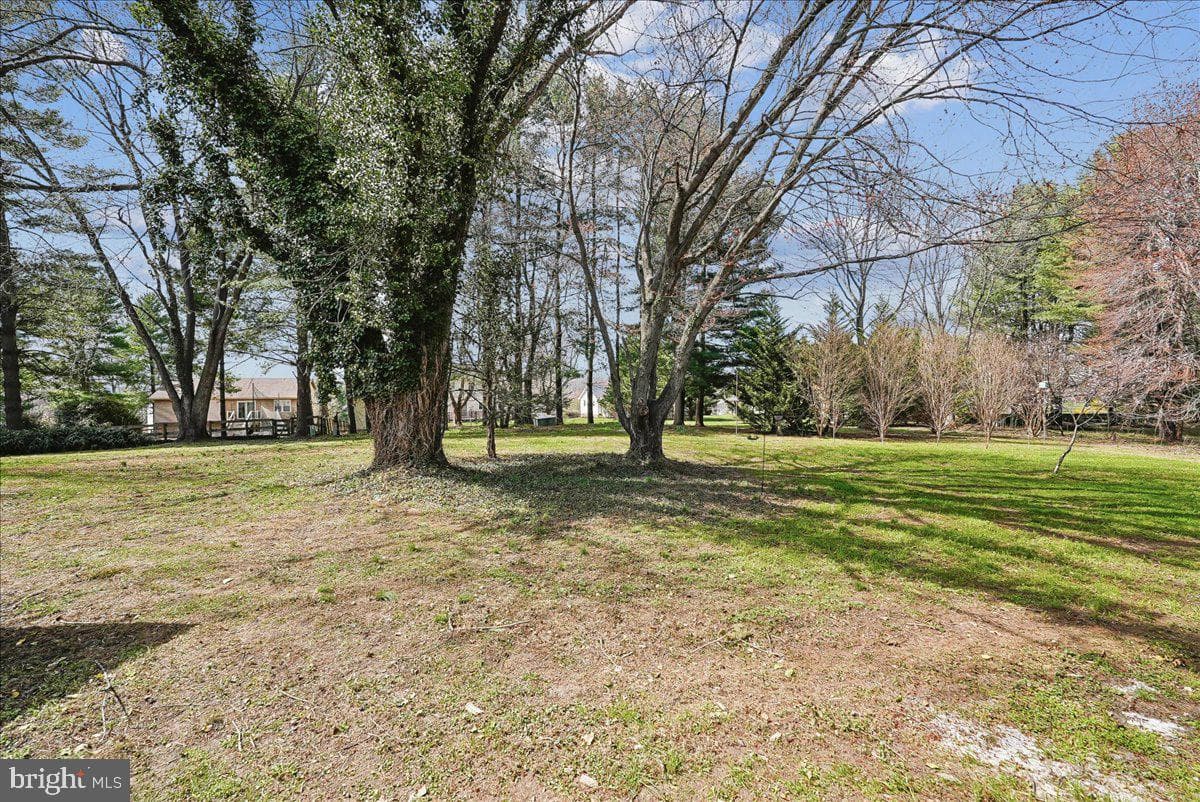 17621 Evers Court photo 69