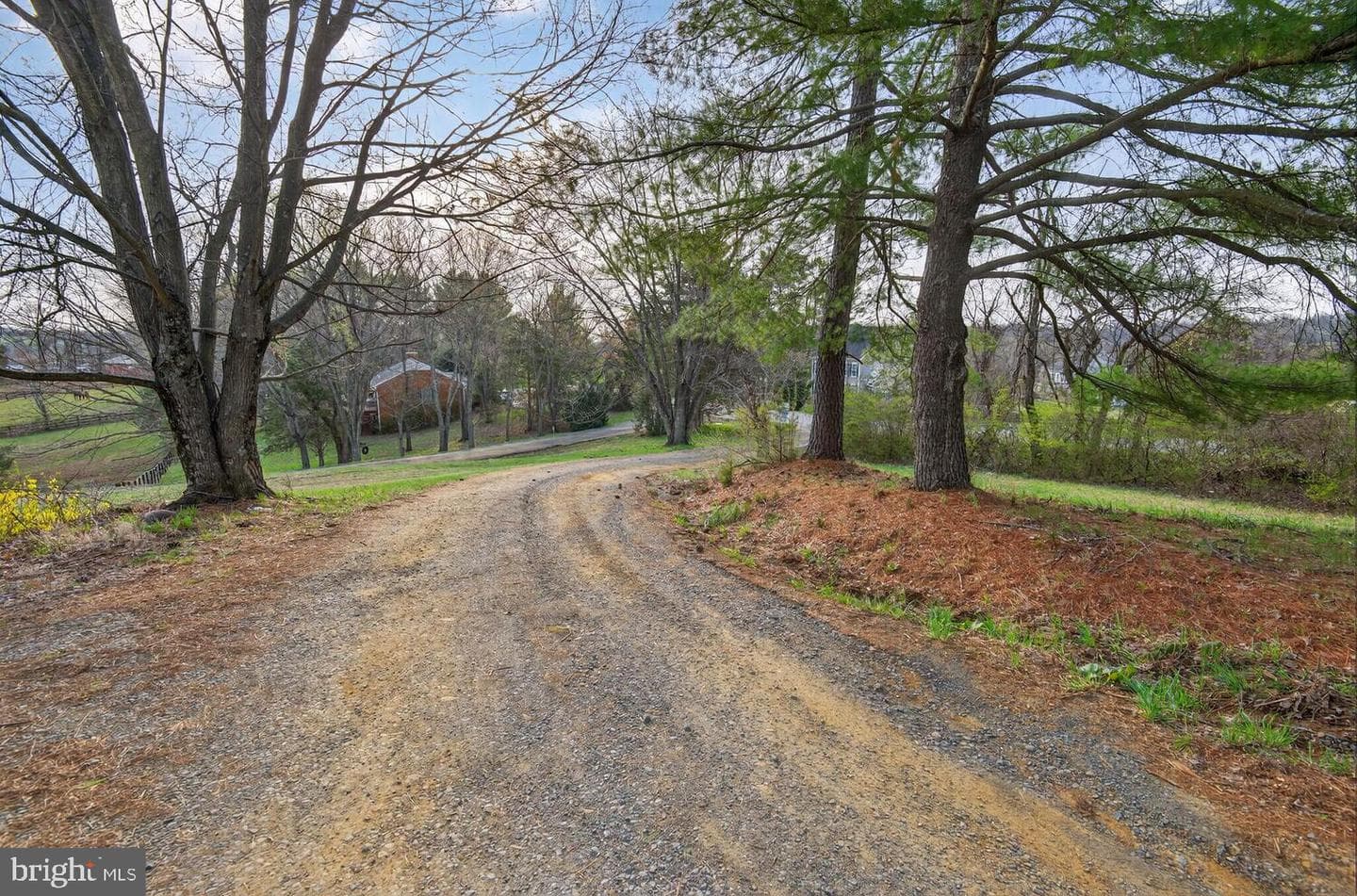 40246 Thomas Mill Road photo 7