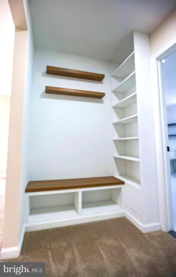 20818 Blossom Landing Way photo 33