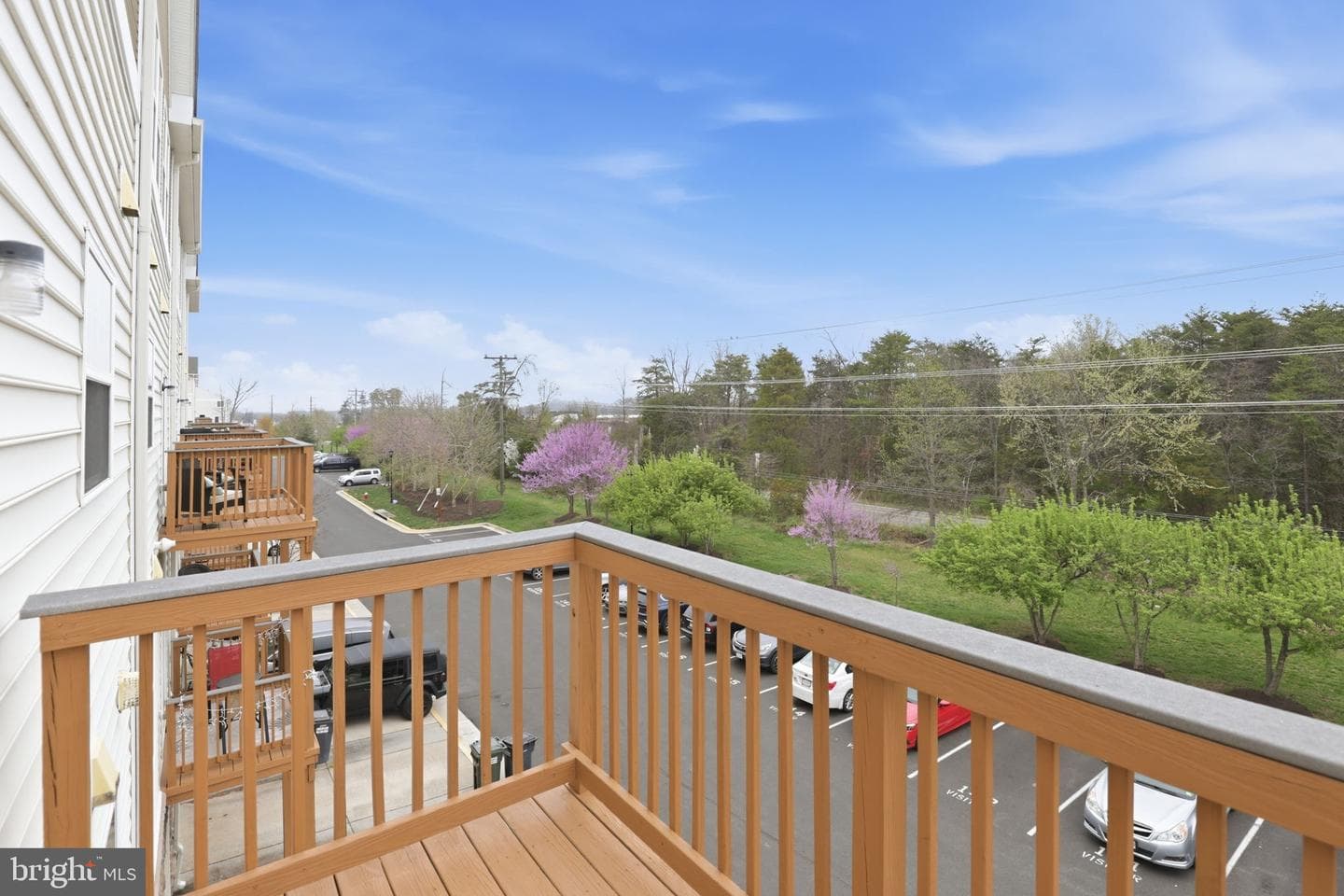 42257 San Juan Terrace photo 19