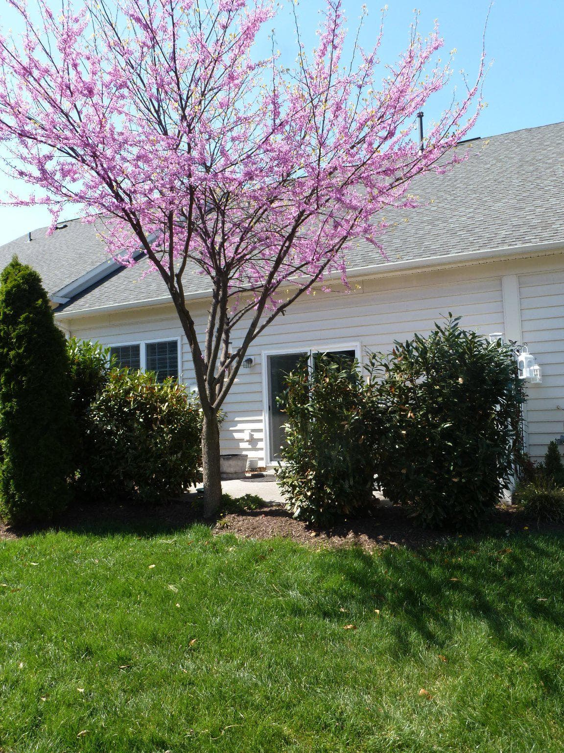 44351 Oakmont Manor Square photo 14