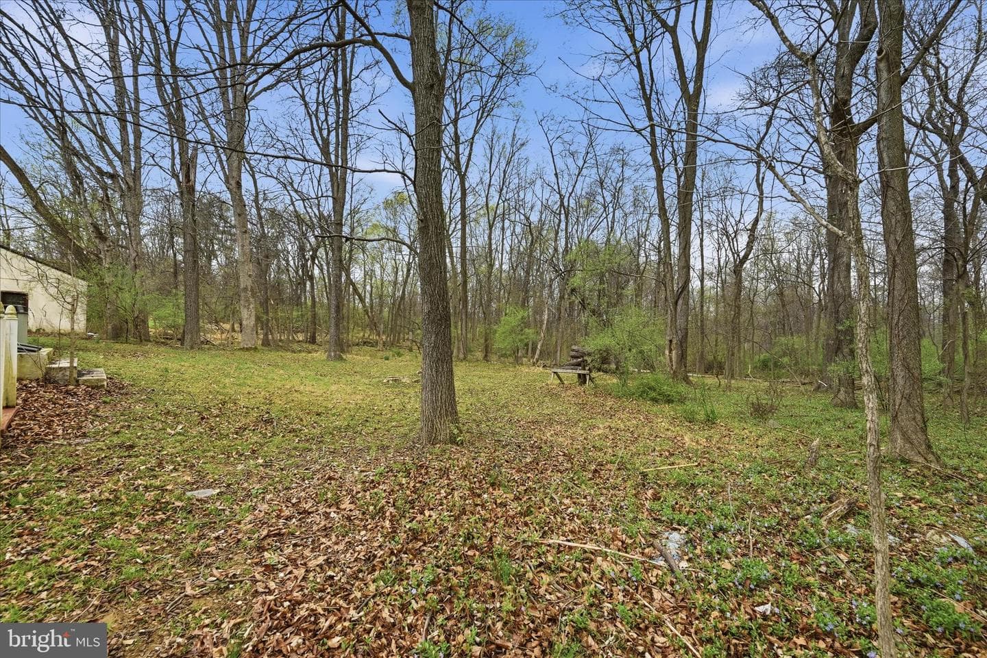 39516 Cottagegrove photo 41