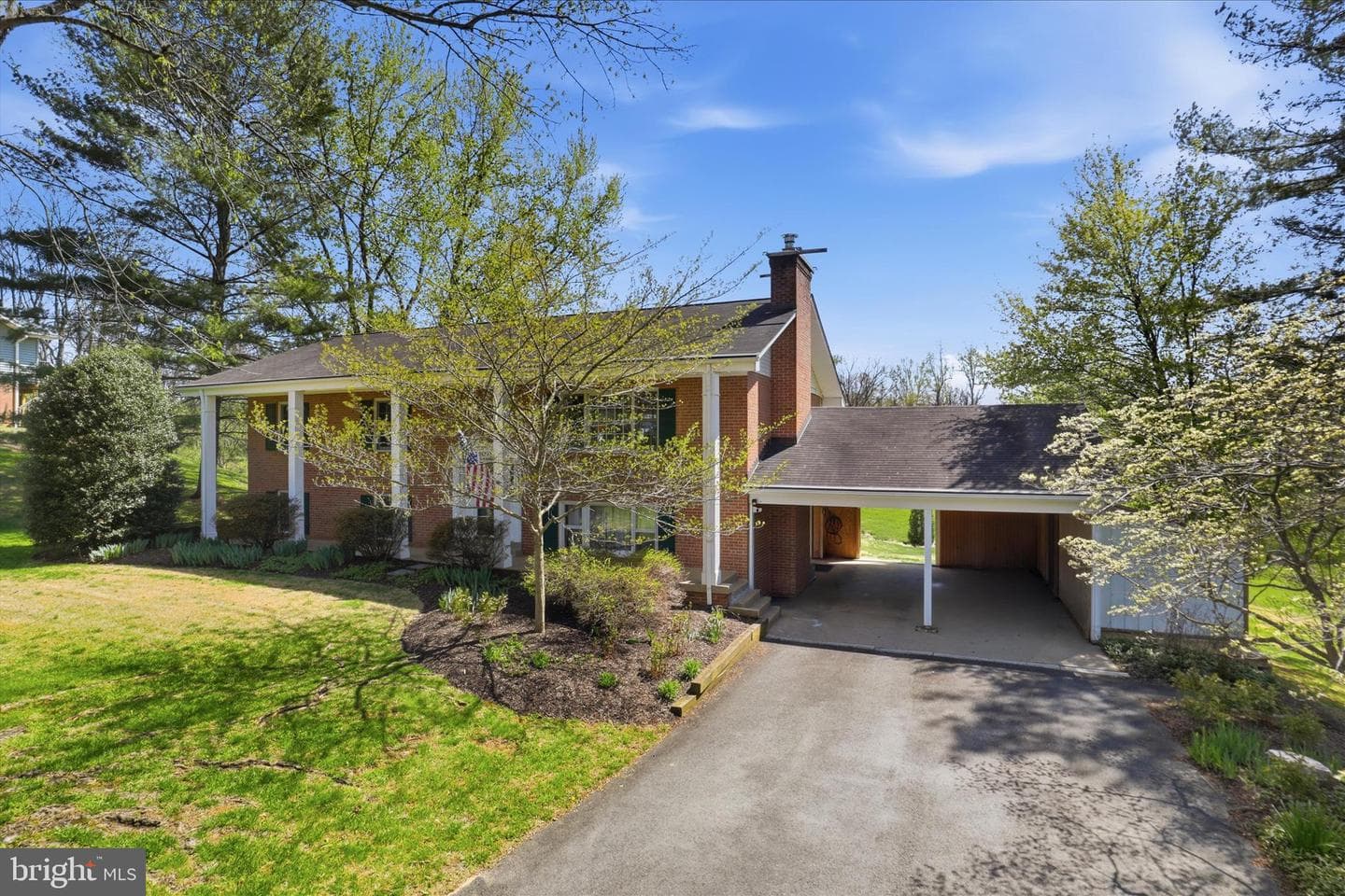 36929 Basswood Court photo 4