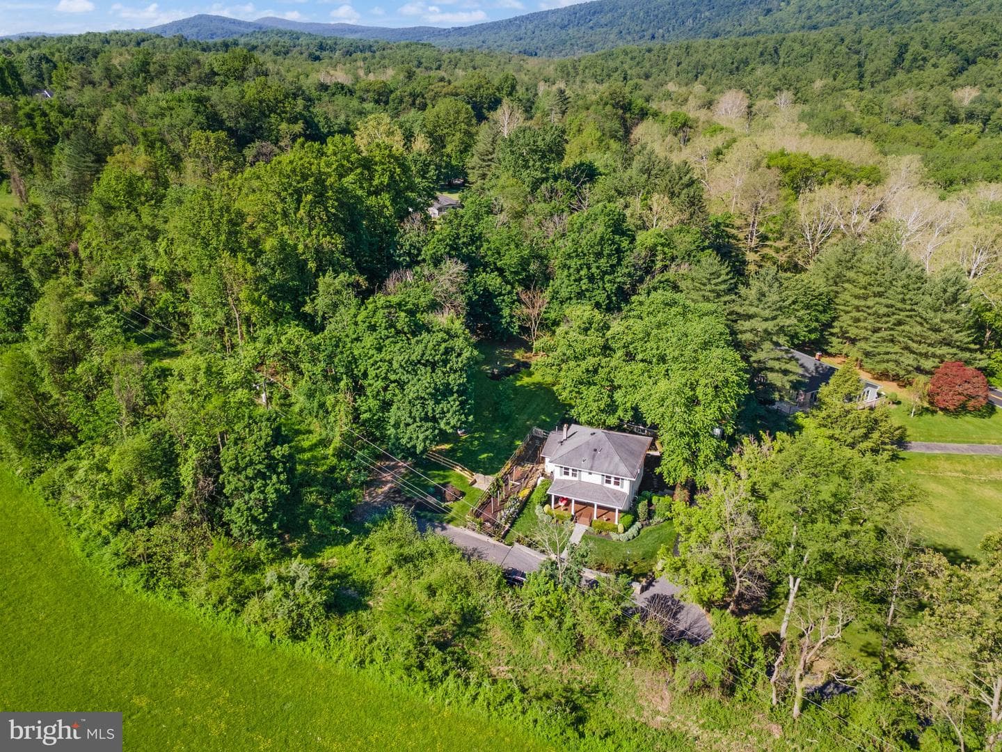 37151 Branchriver photo 57