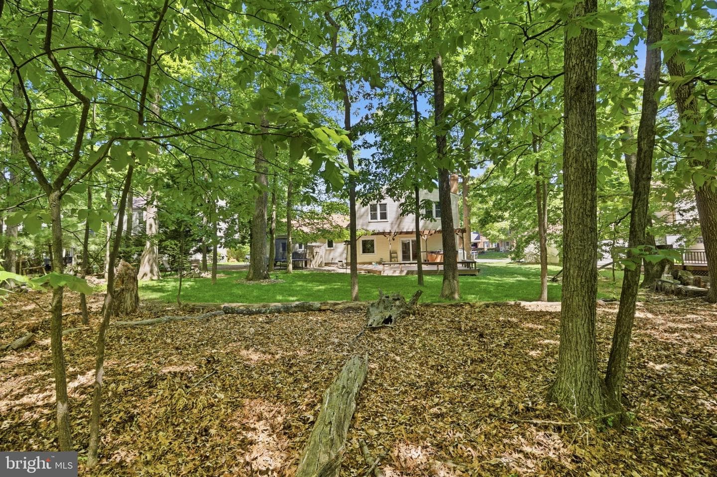 407 Autumn Olive Way photo 44