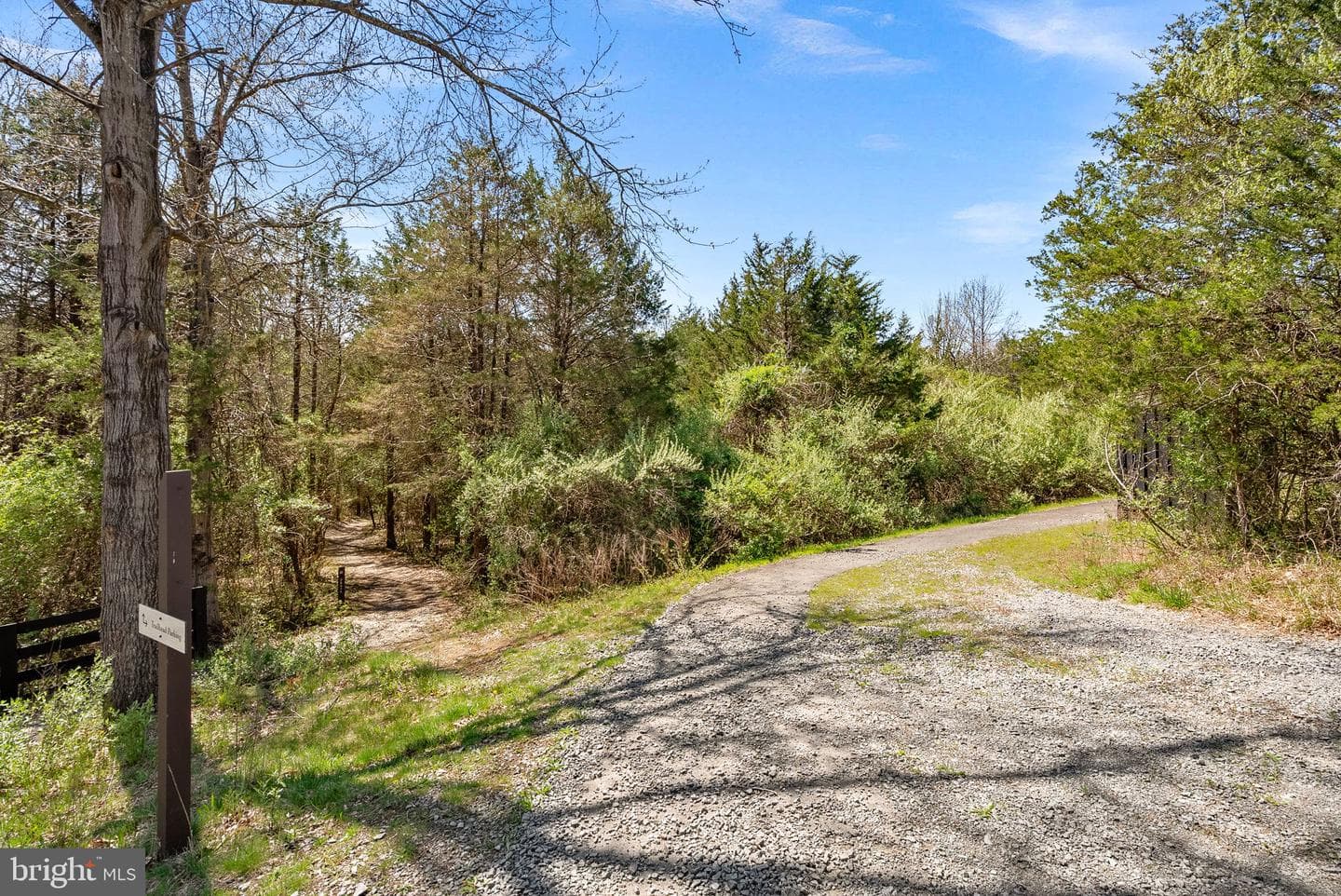 25959 Cullen Run Place photo 81