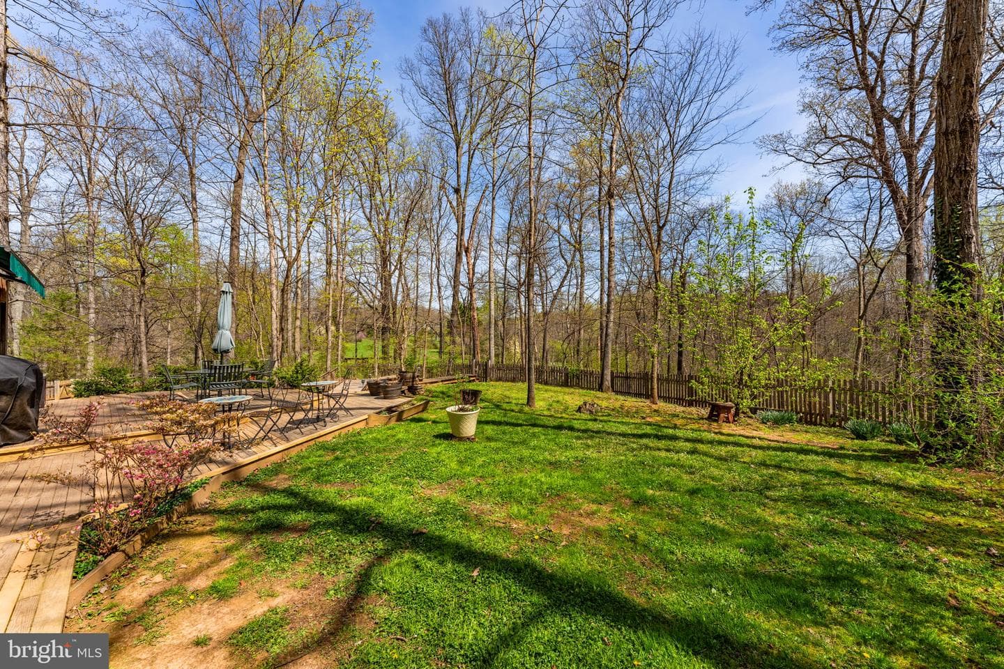 24680 Germania Lane photo 57