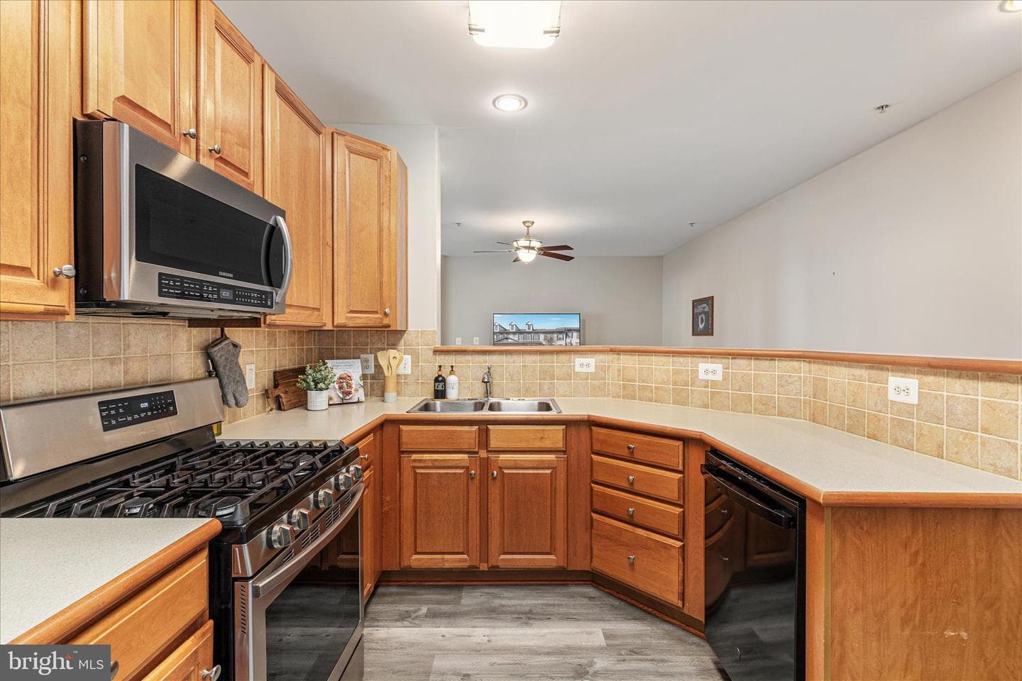 20227 Macglashan Terrace photo 10