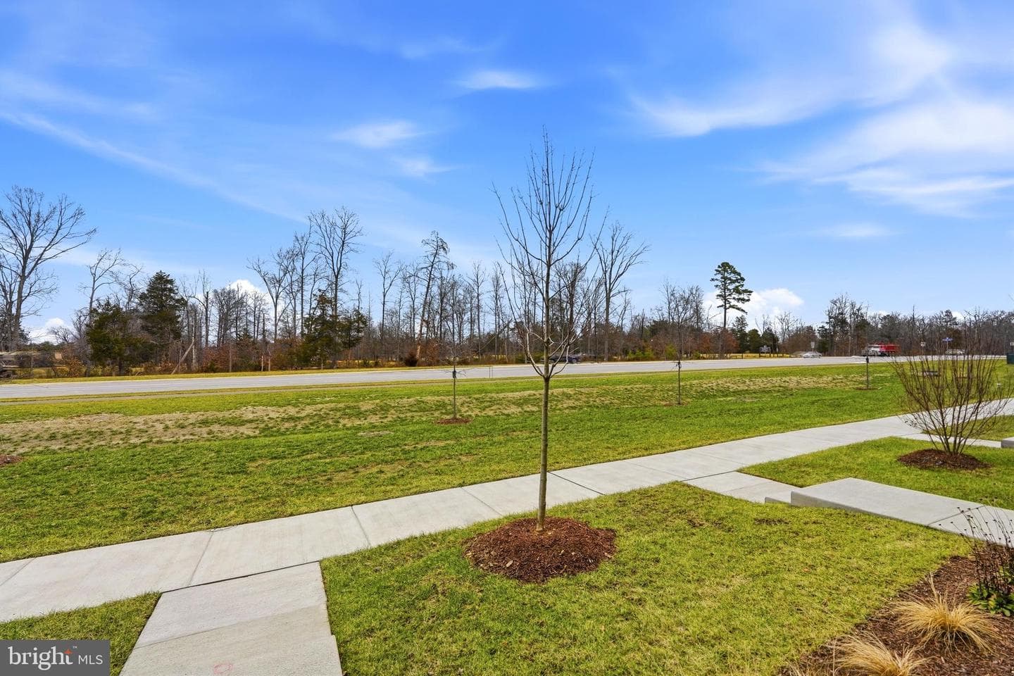 22801 Tawny Pine Square photo 88