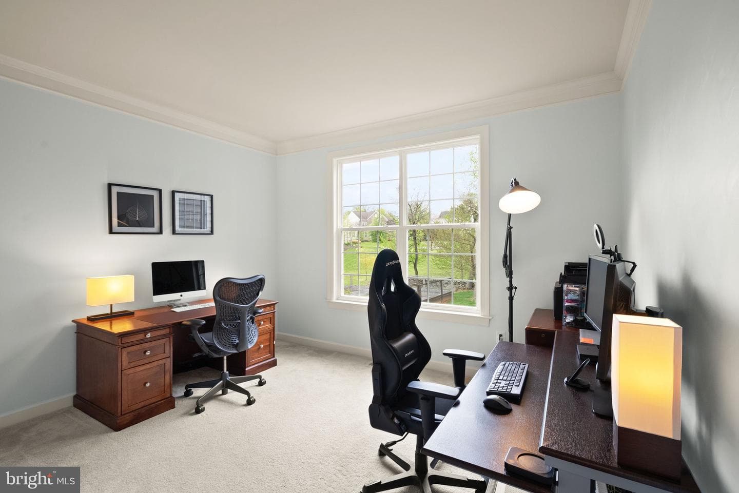 14 Braeburn Court photo 38
