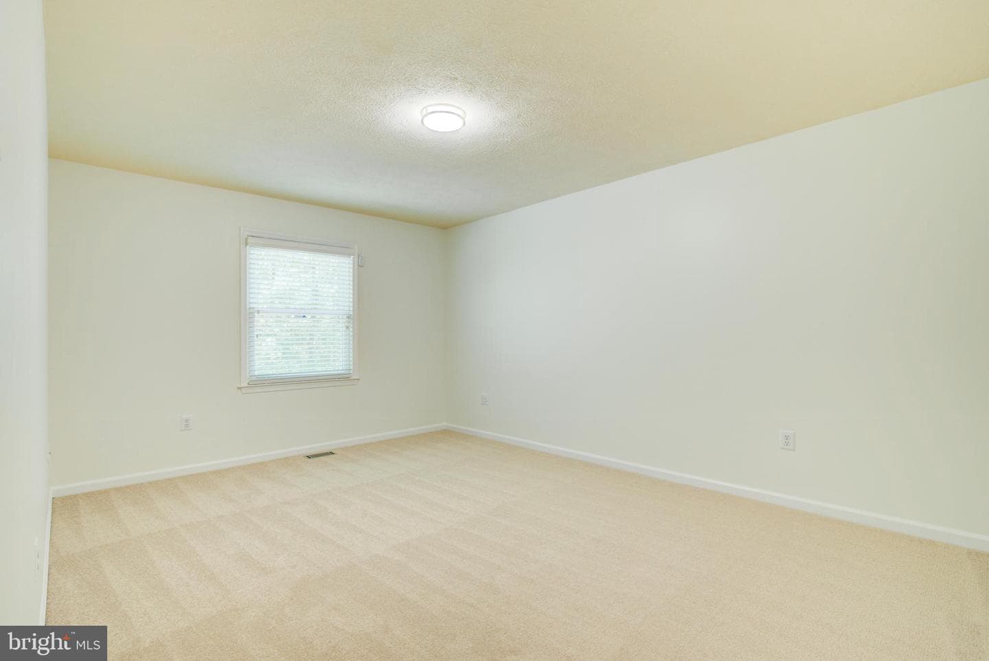 44 Carrollton Road photo 39