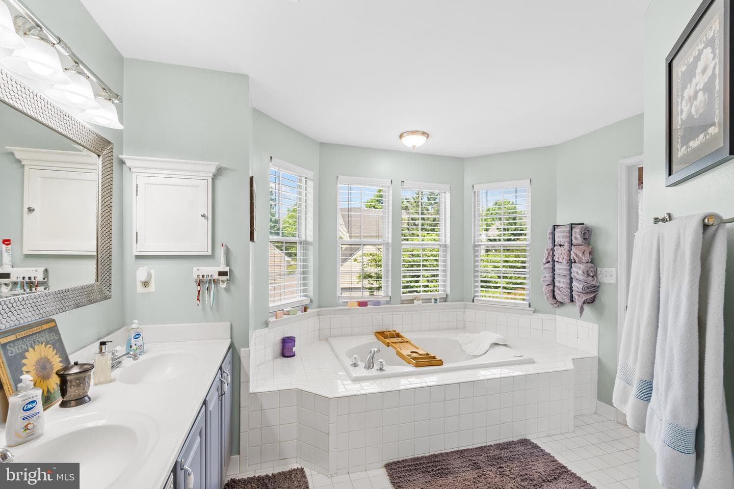 20317 Vermeer Street photo 22