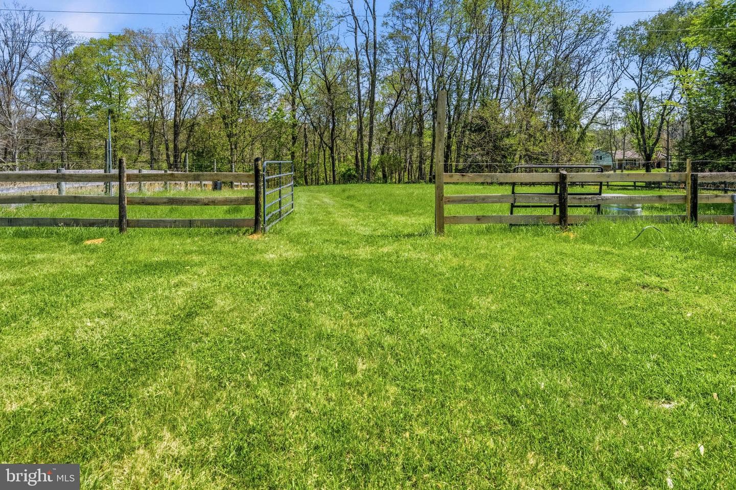 13121 Orrison Road photo 5