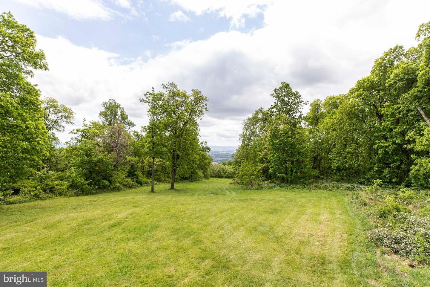 20711 Blueridge Mountain Road photo 5
