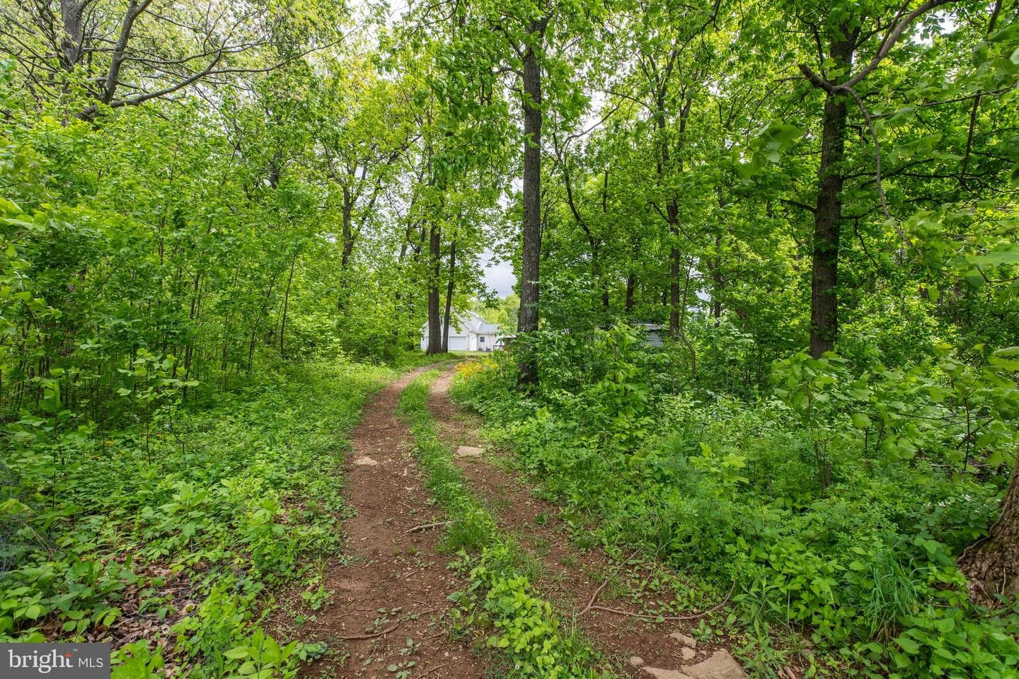 20711 Blueridge Mountain Road photo 77