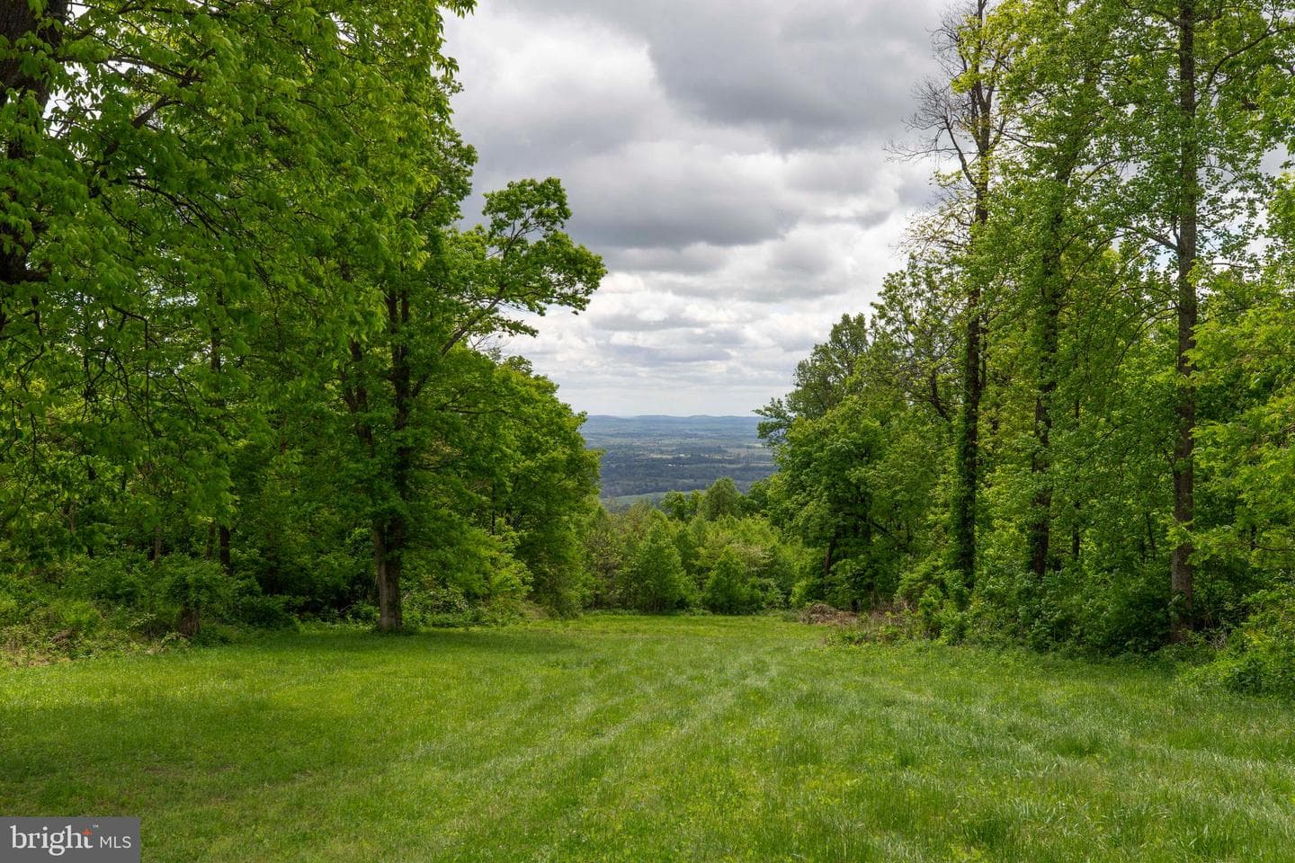 20711 Blueridge Mountain Road photo 81