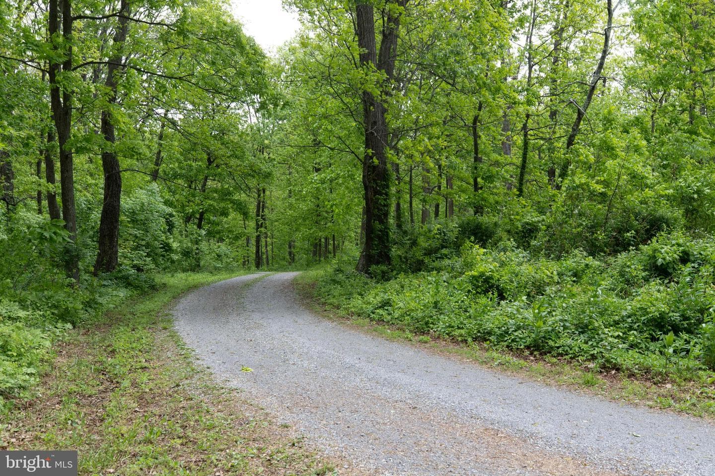 20711 Blueridge Mountain Road photo 82