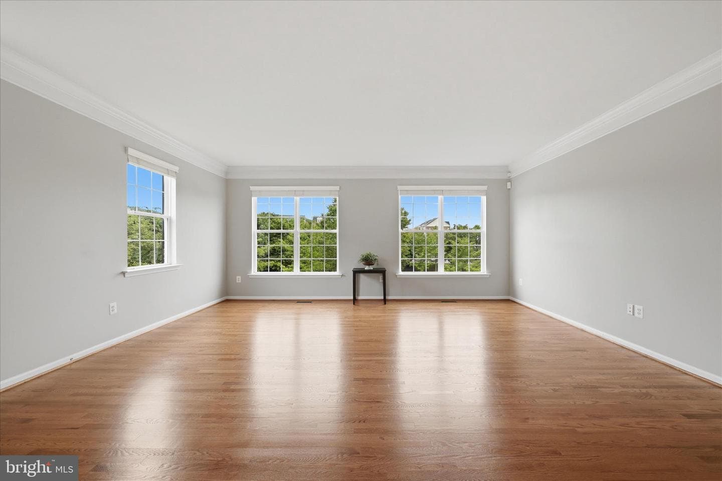 509 Edmonton Terrace NE photo 6
