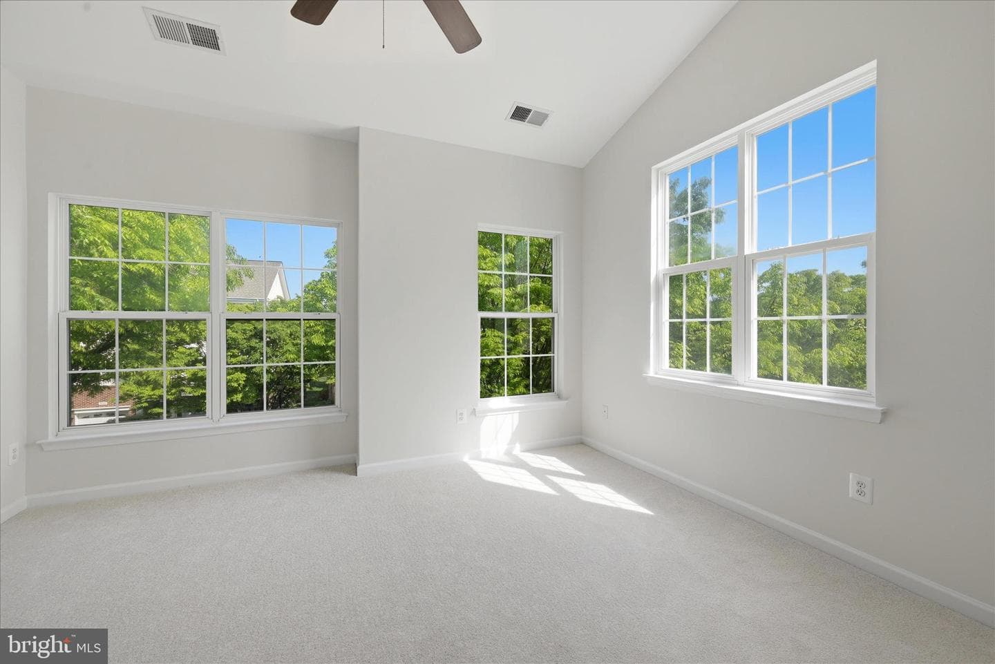 20471 Greymont Terrace photo 21