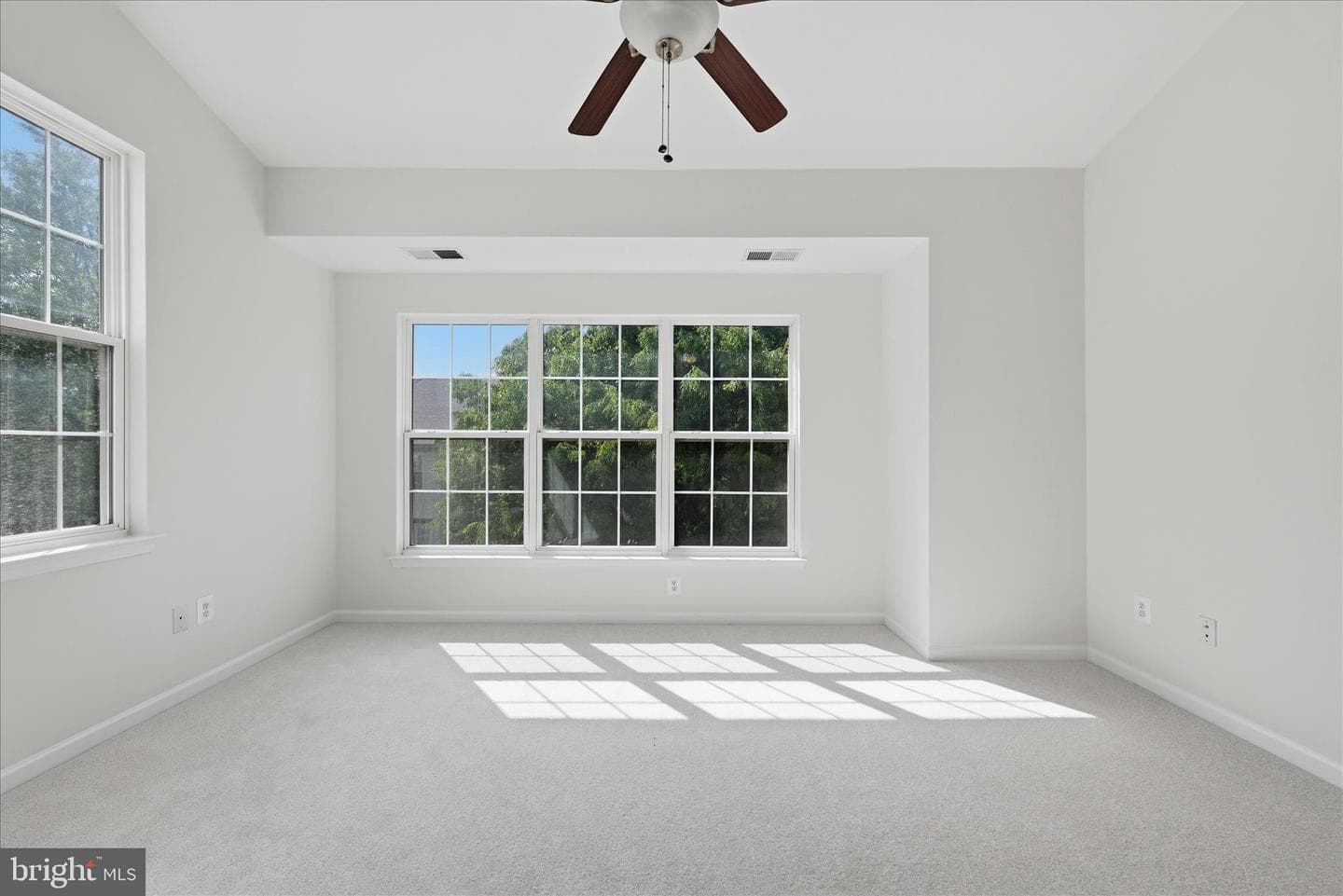 20471 Greymont Terrace photo 22