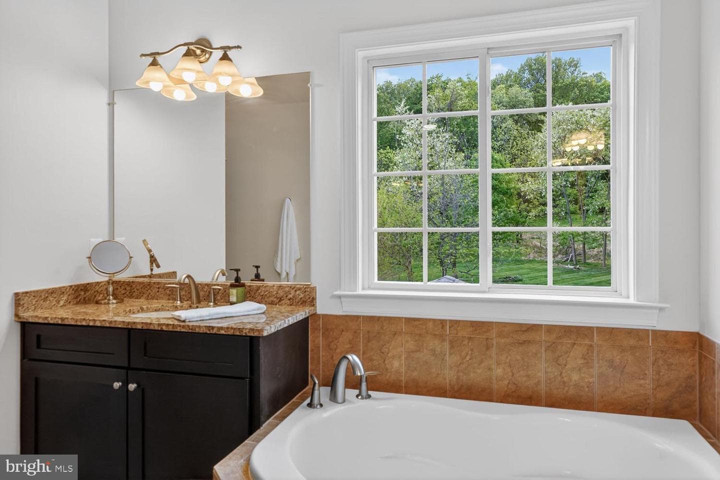 15703 Woodchester Court photo 47