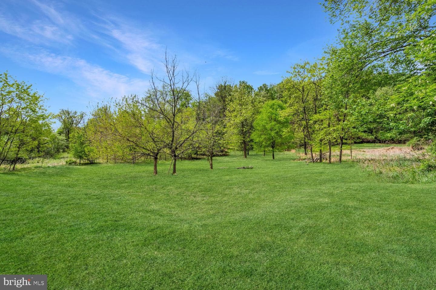 15703 Woodchester Court photo 5