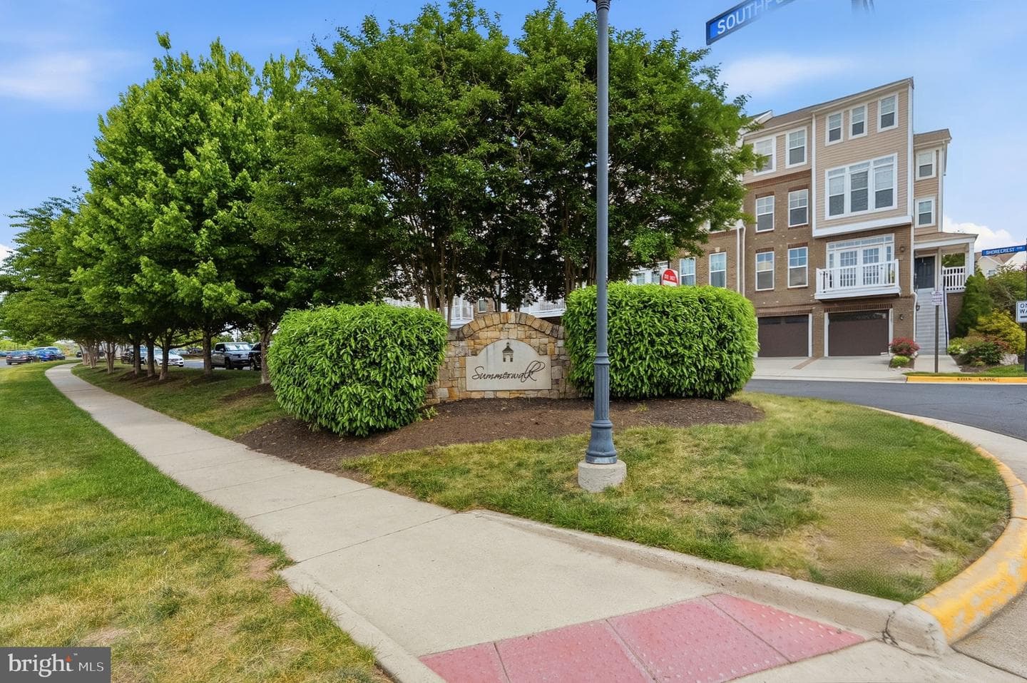 42167 Canary Grass Square photo 51