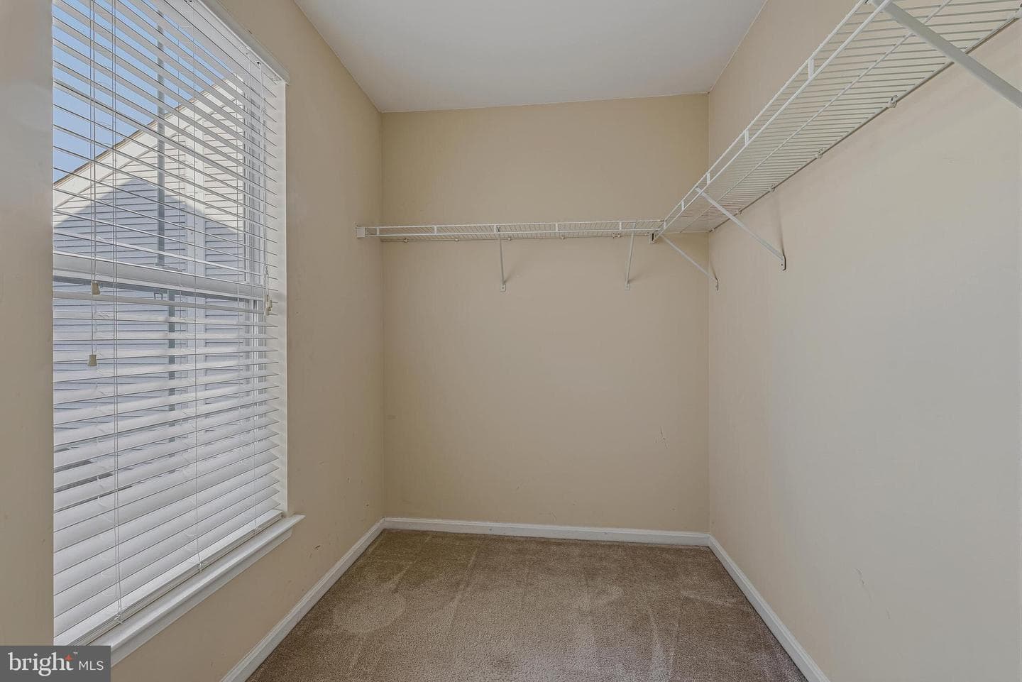 20432 Cool Fern Square photo 24