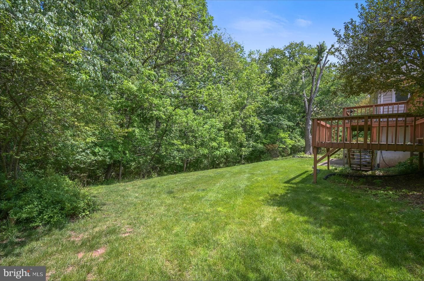 35 Biscayne Place photo 26