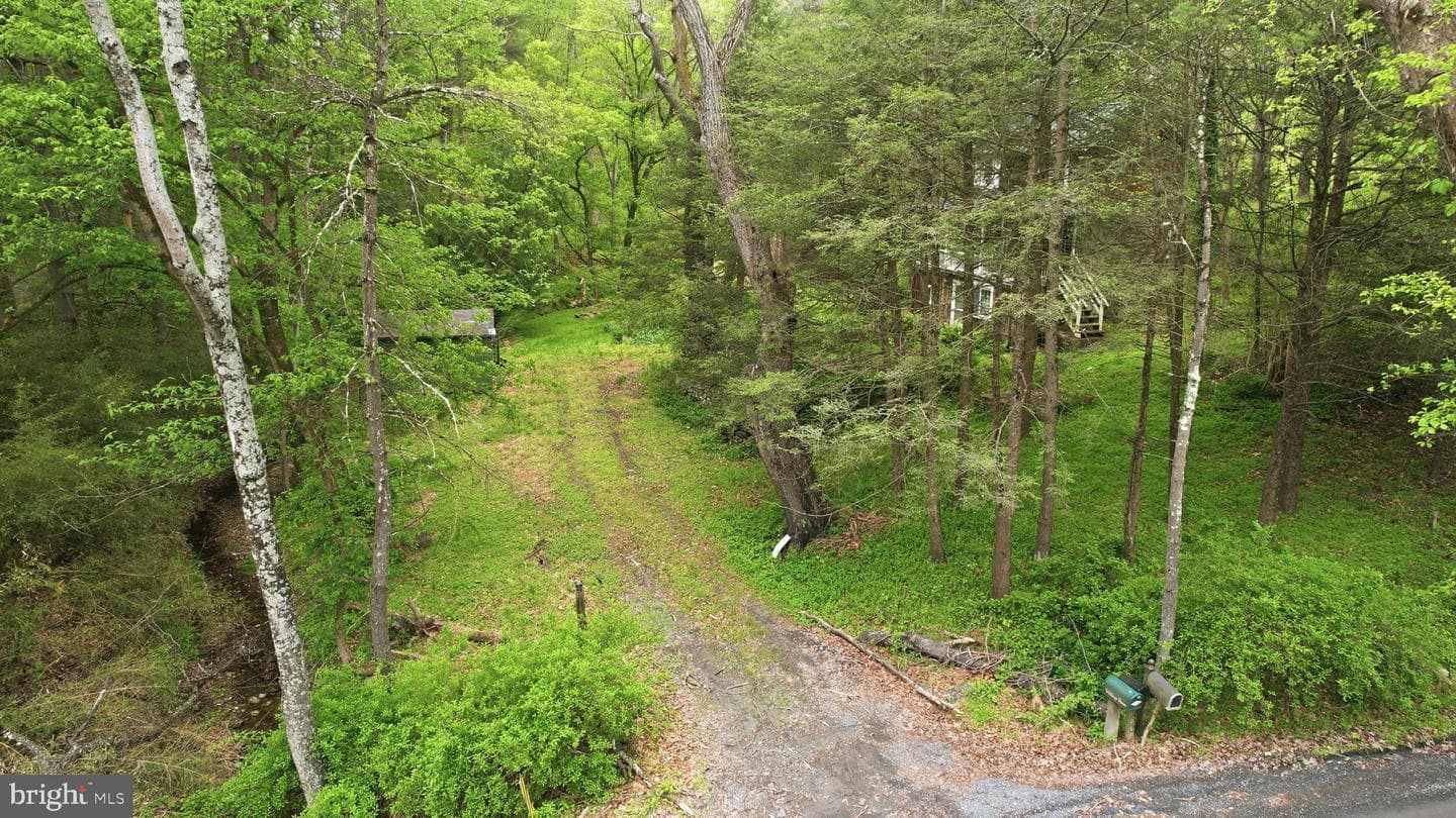 40107 Quarter Branch Road photo 5