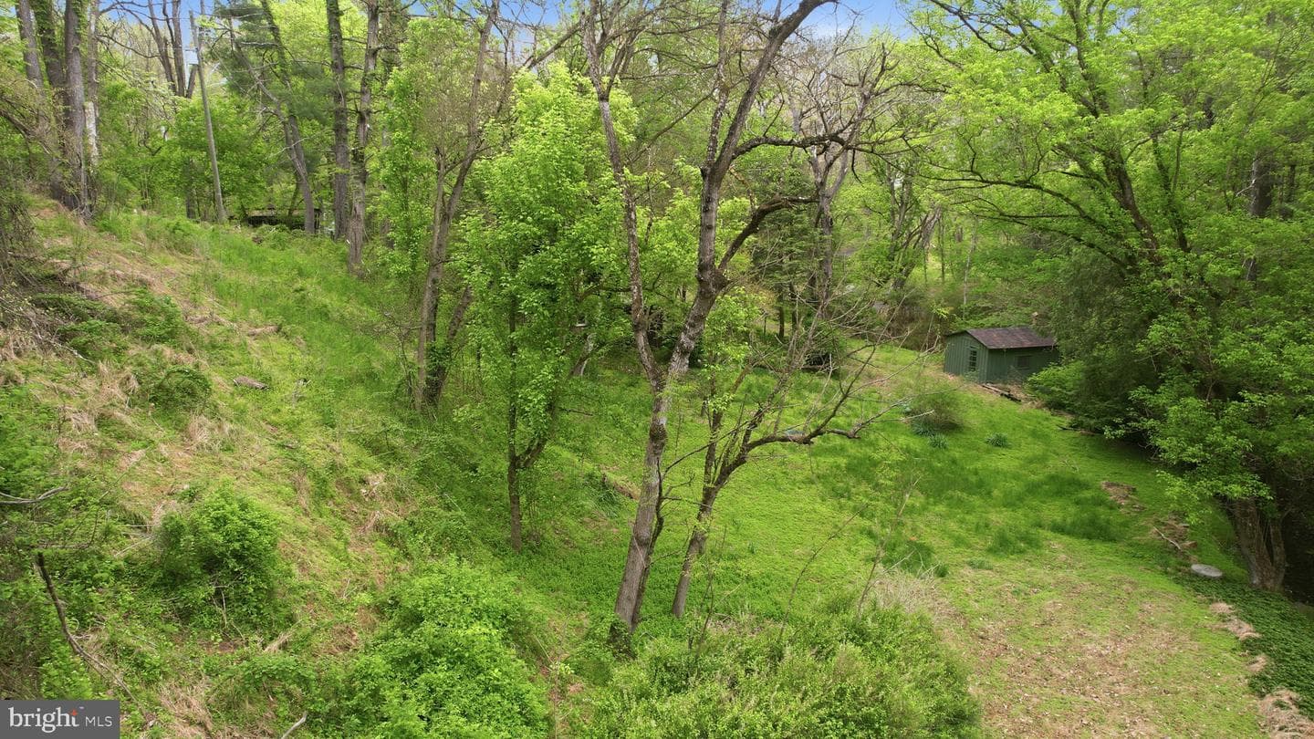 40107 Quarter Branch Road photo 6