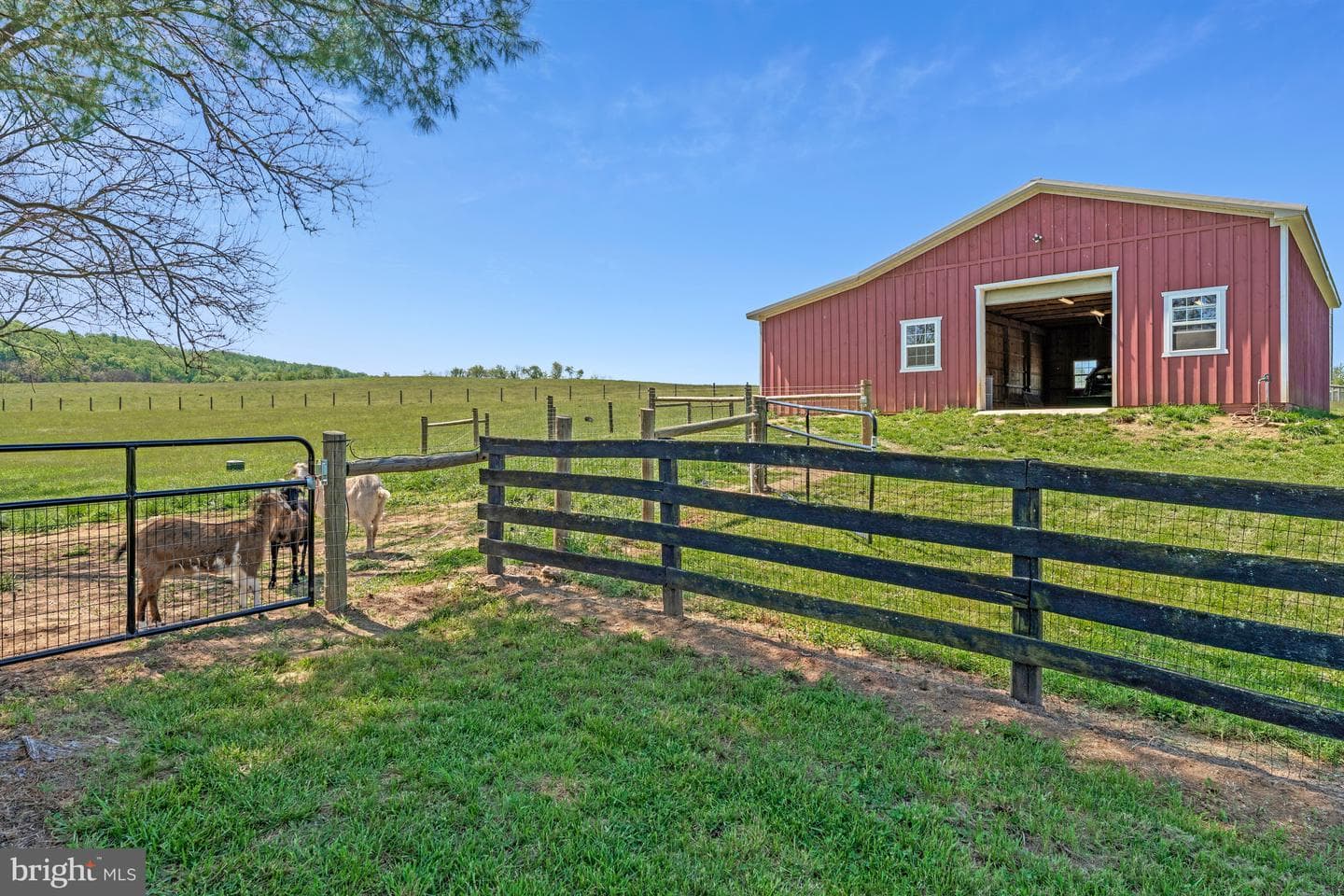 36333 Stony Point Road photo 25