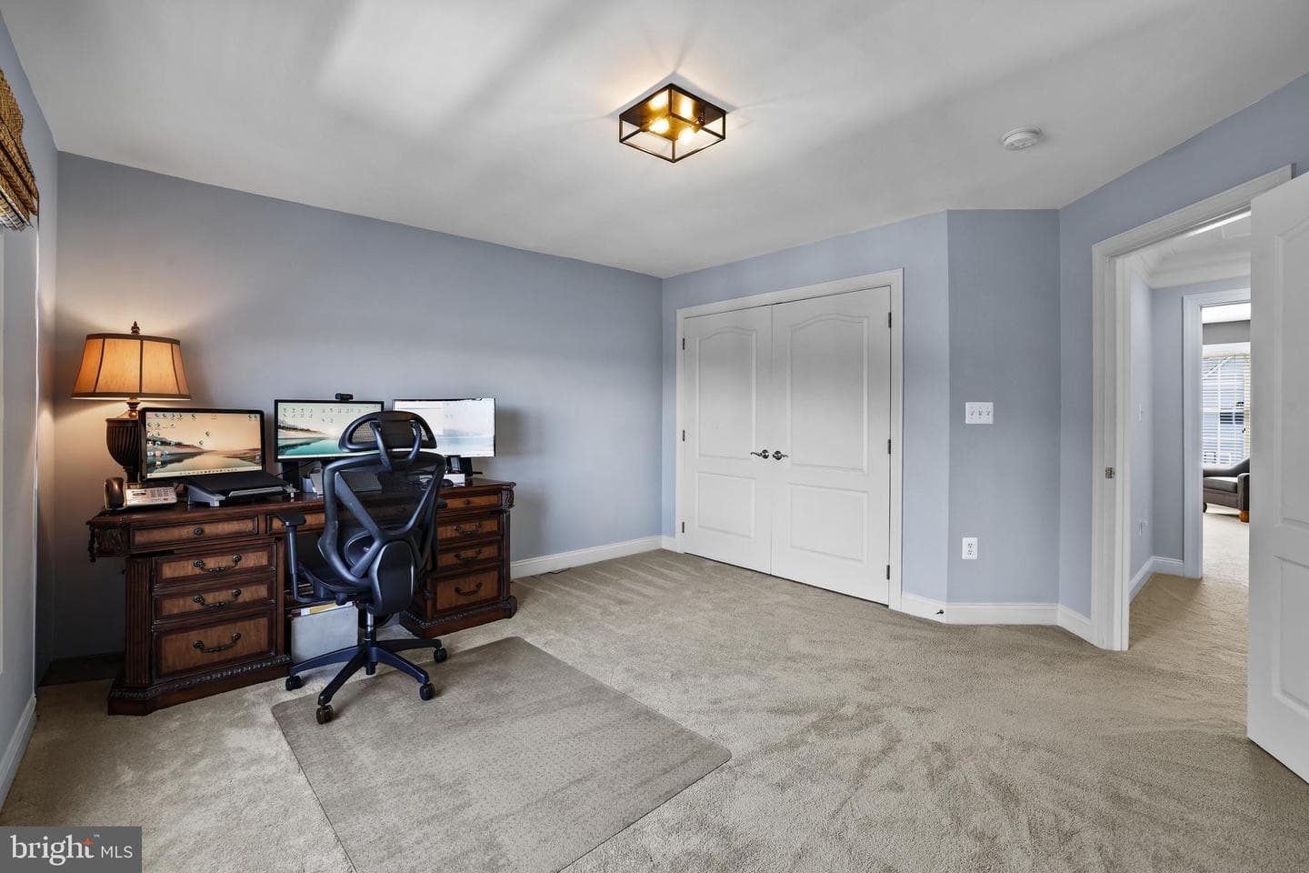 24266 Sunny Meadow Lane photo 45