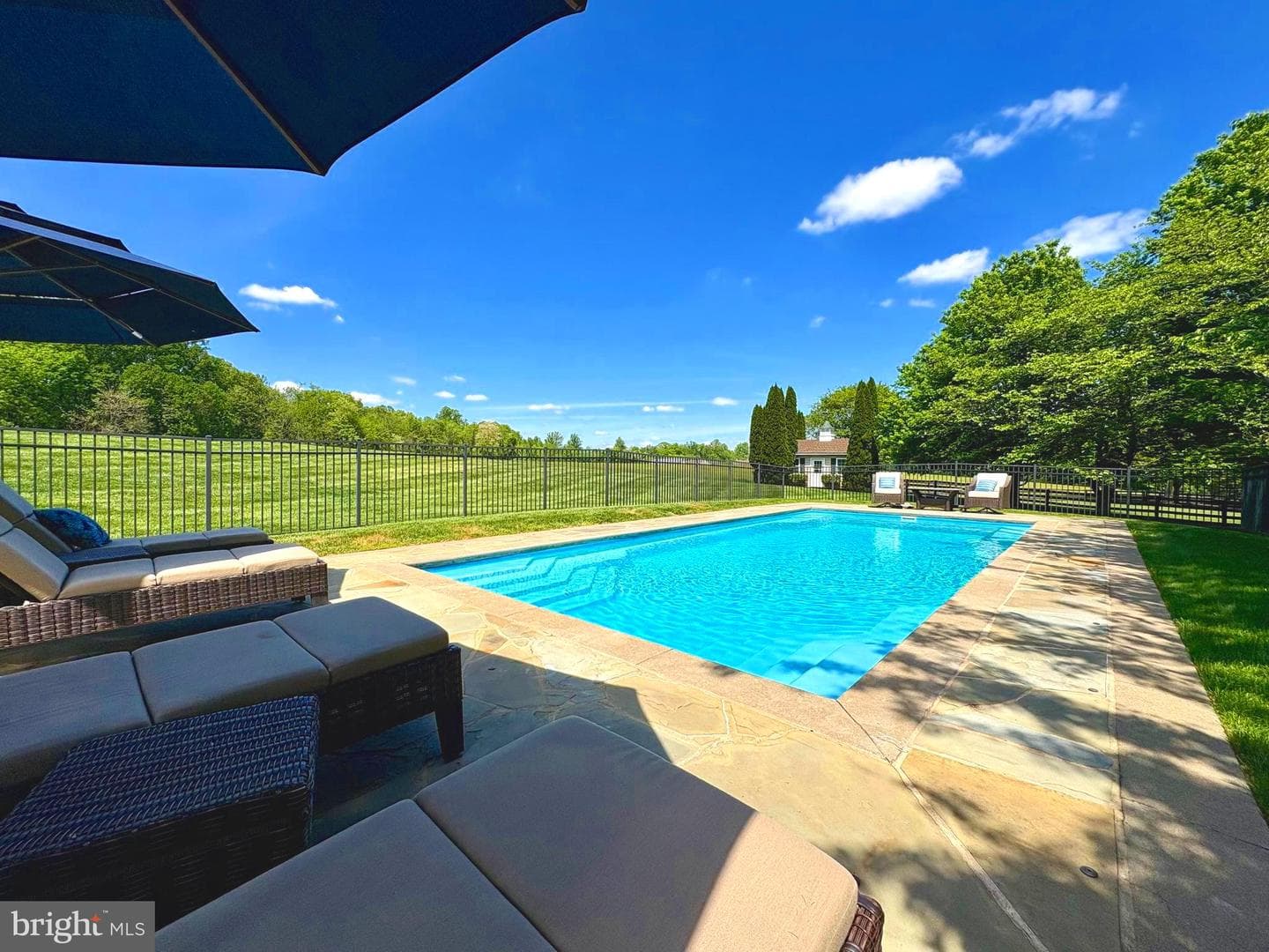 24266 Sunny Meadow Lane photo 5