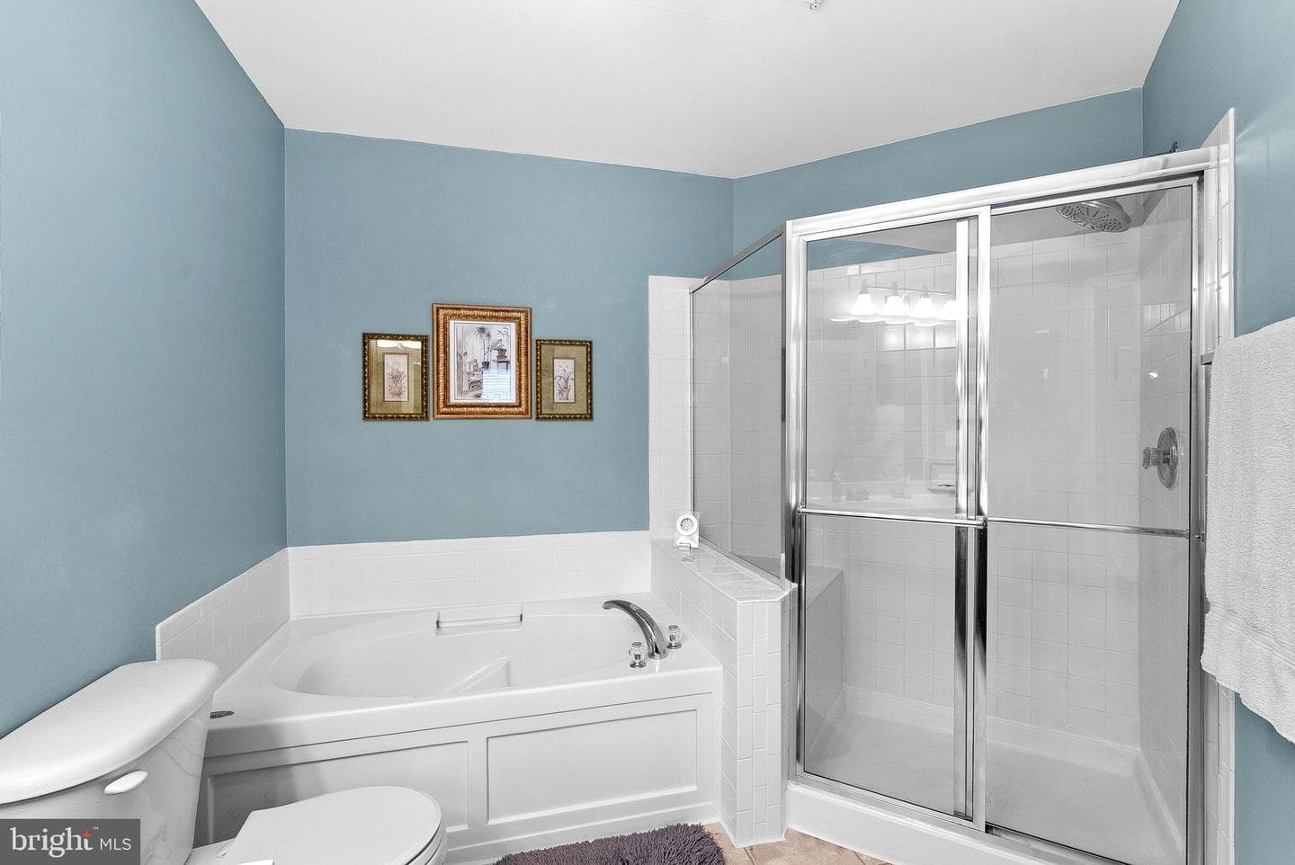 42263 Black Rock Terrace photo 30