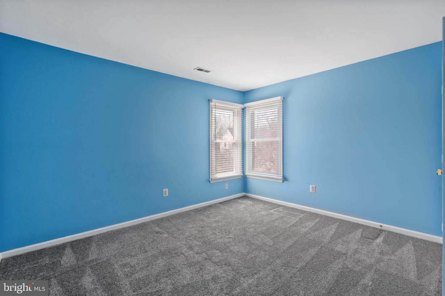 21143 Mayapple Place photo 26