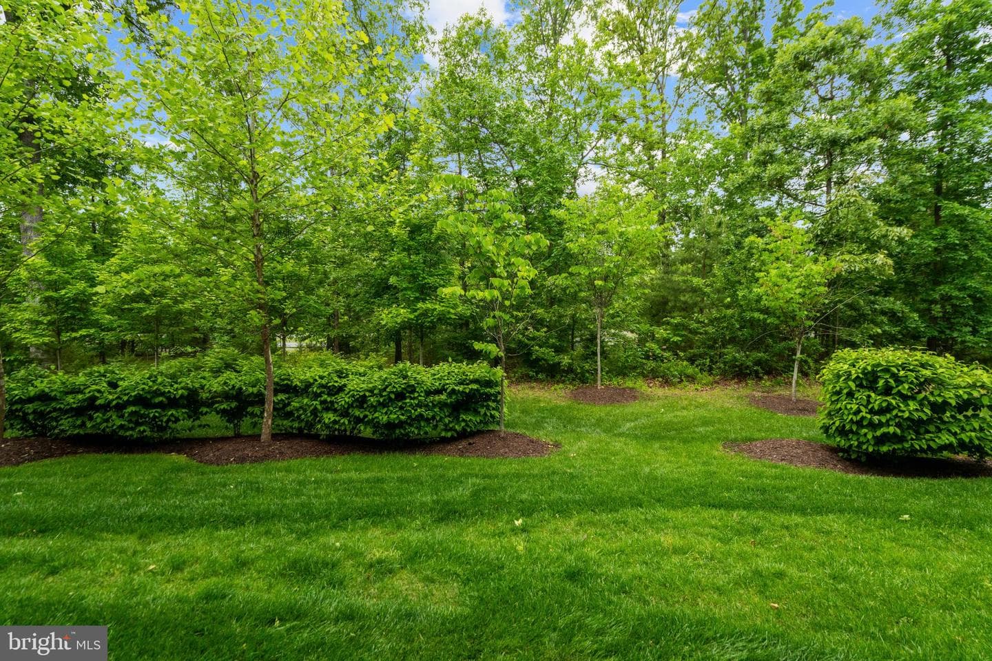 23255 Milltown Knoll Square #111 photo 24