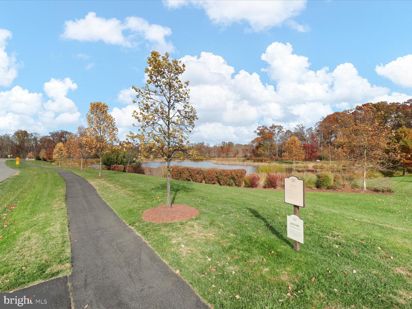 25970 Liquidambar Lane photo 77